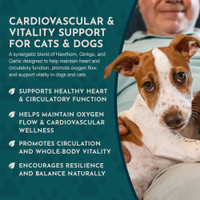 Animal Essentials Heart Health Herbal Formula For Dogs And Cats 2-Ounce