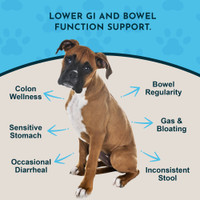 Animal Essentials Colon Rescue Powder Herbal Digestive Aid For Dogs & Cats 1-Oz.