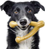 Pet Qwerks Nylon Wishbone Durable Dog Chew Toy Medium Peanut Butter Flavor