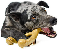 Pet Qwerks Nylon Wishbone Durable Dog Chew Toy Medium Peanut Butter Flavor