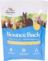 MannaPro Bounce Back Multi-Species Electrolyte Supplement 4-Ounces