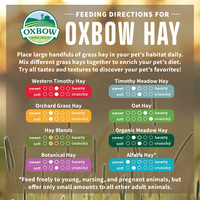 Oxbow Animal Health All-Natural Alfalfa Hay 40-Ounce For Small Animals