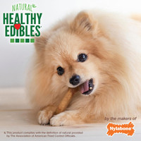Nylabone Healthy Edibles Long Lasting Chew Treats For Dogs Bacon Flavor 8-Chews