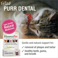 HomeoPet Purr Dental Natural Cat and Kitten Dental Care 15-mL