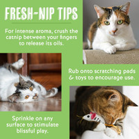 Van Ness Fresh-Nip Natural Catnip USA-Made 1-Ounce