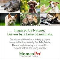HomeoPet Joint Stress Natural Joint Support for All Pets 15-mL