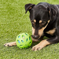 JW Puppy Crackle Heads Ball Makes Entertaining Crackling Sound Small Dog Toy