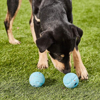 ChuckIt Eco Friendly Rebounce Ball Fetch and Play Medium Dog Toy 2-Pack