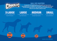 ChuckIt Fetch Medley Variety 3-Pack Erratic, Strato, Ultra Squeak Medium Dog Toy