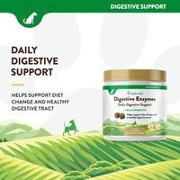 NaturVet Digestive Enzymes Plus Pre & Probiotics for Dogs 120 Soft Chews