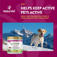 NaturVet Maintenance Joint Care Glucosamine DS Level 1 for Dogs 120 Soft Chews