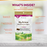 NaturVet Hip & Joint Daily Maintenance Support for Dogs and Cats 120 Soft Chews