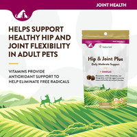 NaturVet Hip and Joint Plus Omegas for Dogs and Cats 120 Soft Chews