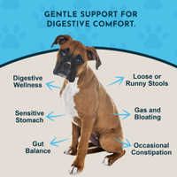 Animal Essentials Healthy Gut 1-Ounce Herbal Prebiotic Formula for Dogs and Cats