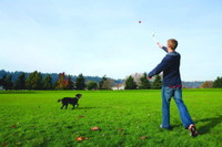 Chuckit! LARGE BALL 26-inch LAUNCHER for 3-inch Mega Balls Big Dog Fetch Toy