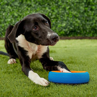 Chuckit FETCH WHEEL Small Dog Fetch Tug-A-War Toy Rolling Frisbee Games 7.5 Inch