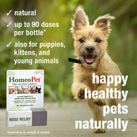 HomeoPet Nose Relief 15 ml  Homeopathic Remedy for Dogs Cats and Birds