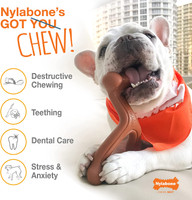 Nylabone DuraChew Original Petite Size  Tough Nylon Dental Bone for 15 lb Dogs