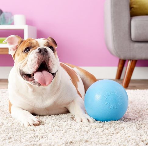 Jolly Ball Bouncing Ball Dog Toy Jolly Pet Teaser Ball For Medium