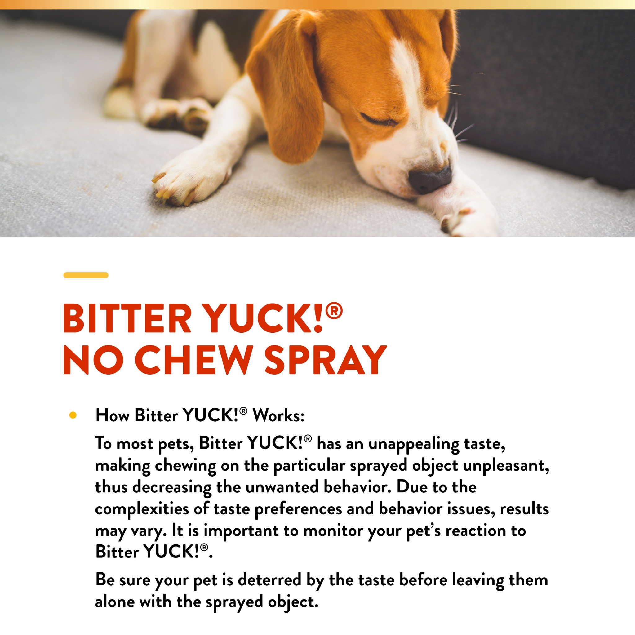 Homemade dog deals anti lick spray