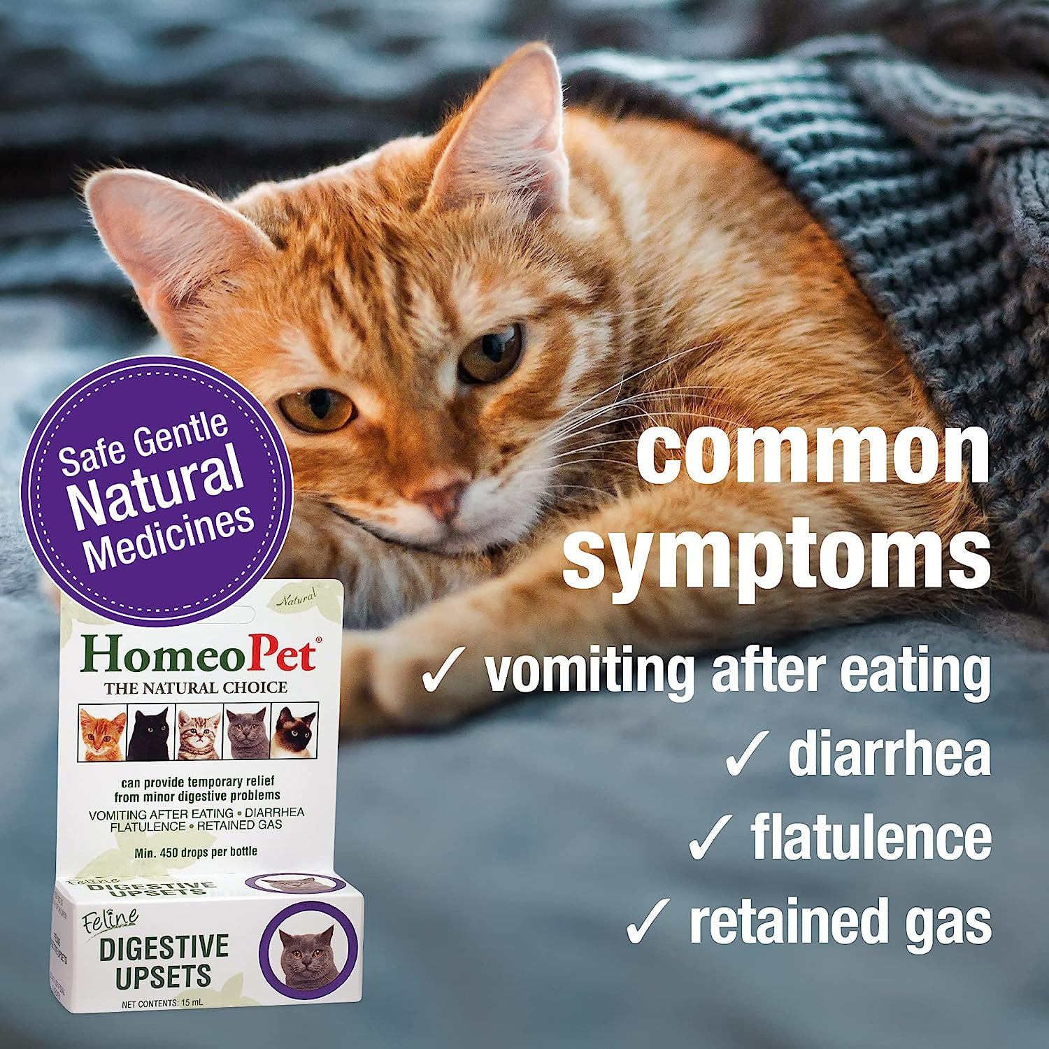 HomeoPet Feline Digestive Upsets 15 ml Homeopathic Stomach Relief