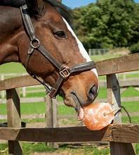 Horsemen's Pride Himalayan Salt Block on Rope for Horses High Density 4