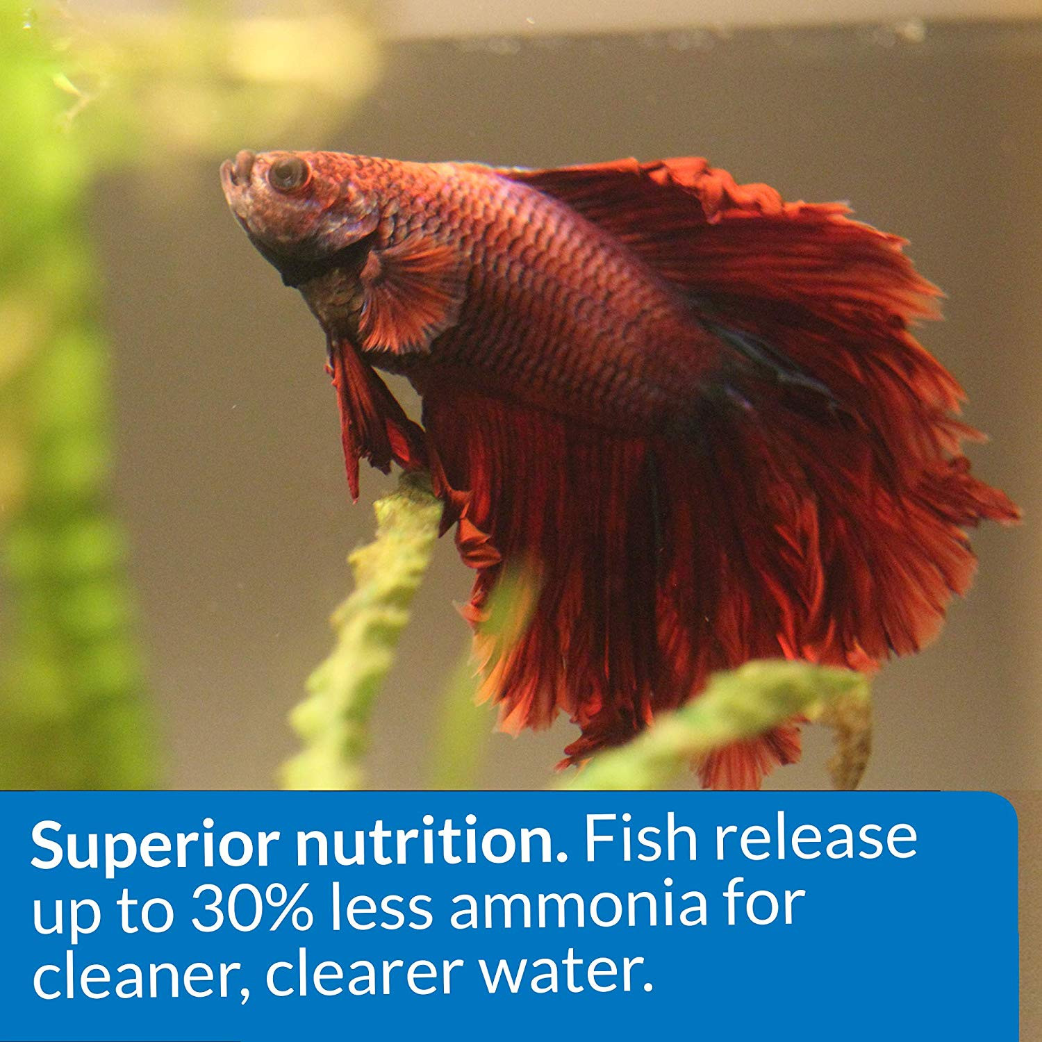 API Betta Food Floating Pellets for Betta Fish Ounces
