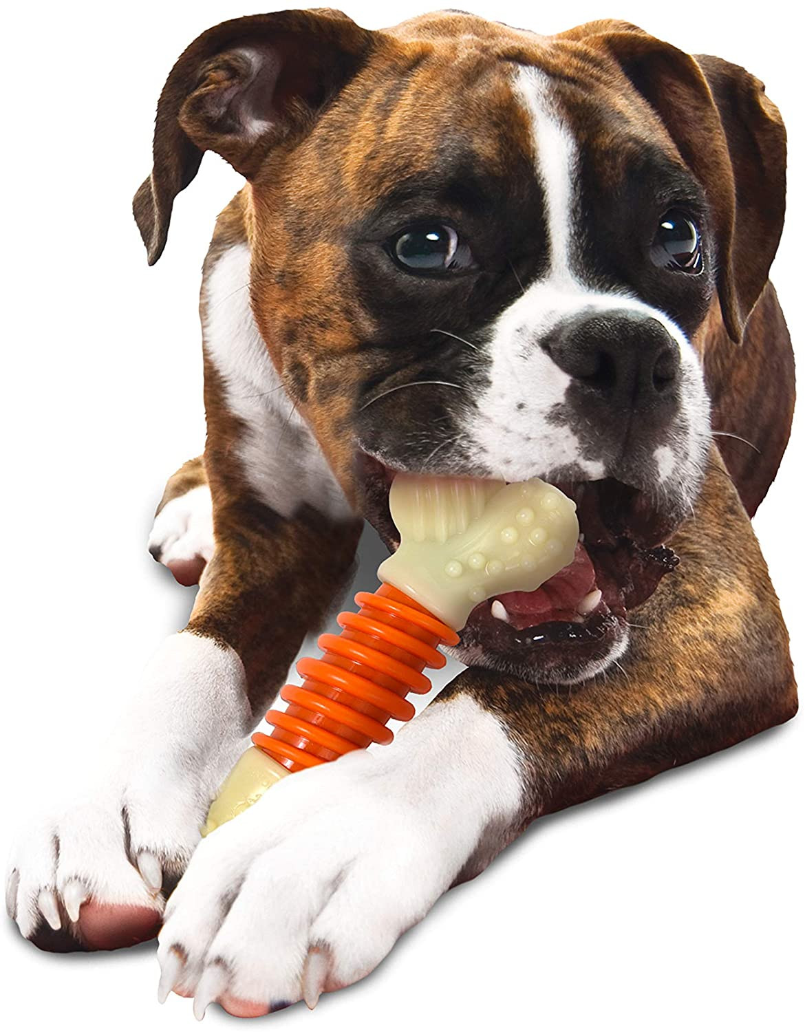nylabone power chew bacon flavor