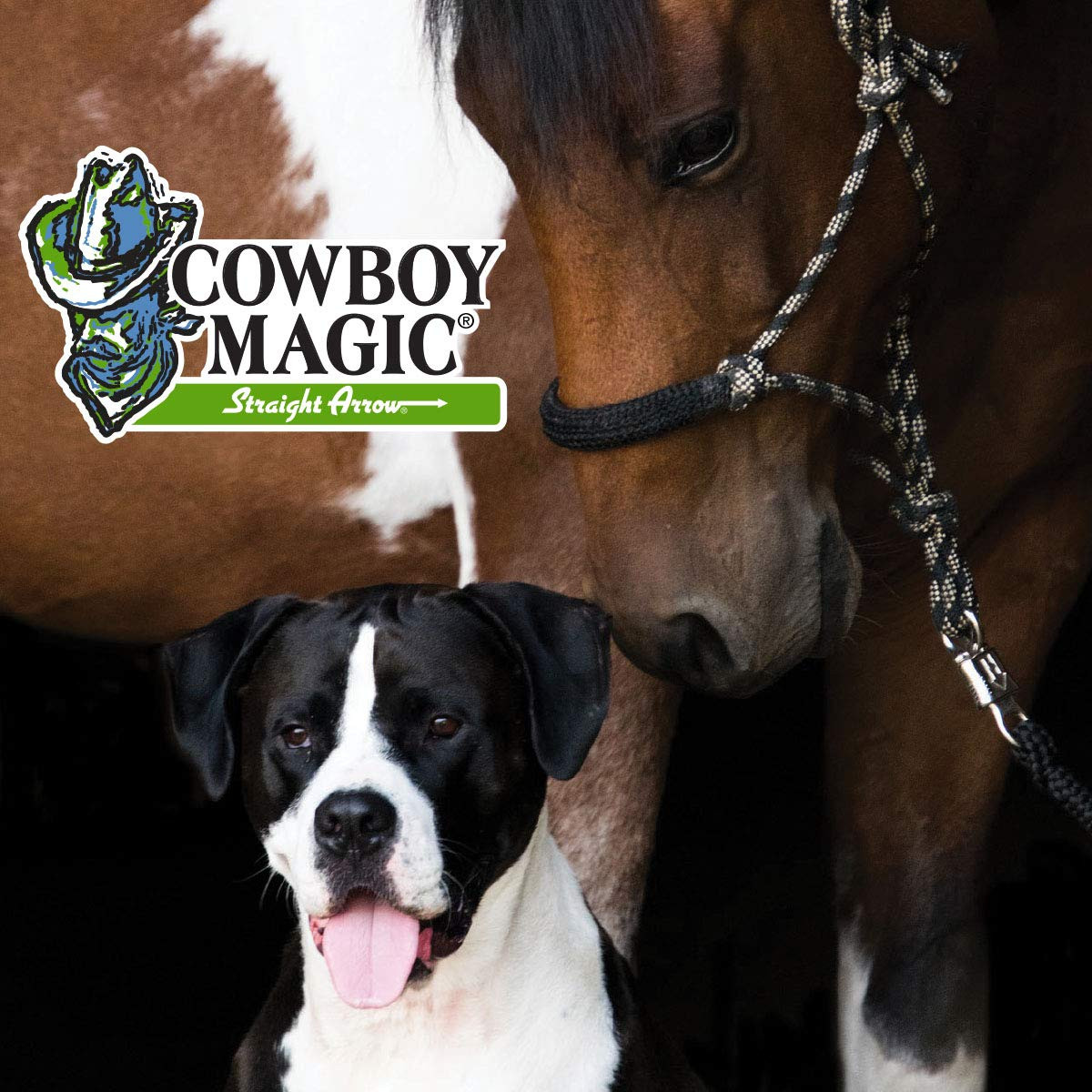 Cowboy Magic Shine In Yellow Out Whitening Shampoo 16Ounce For Horses