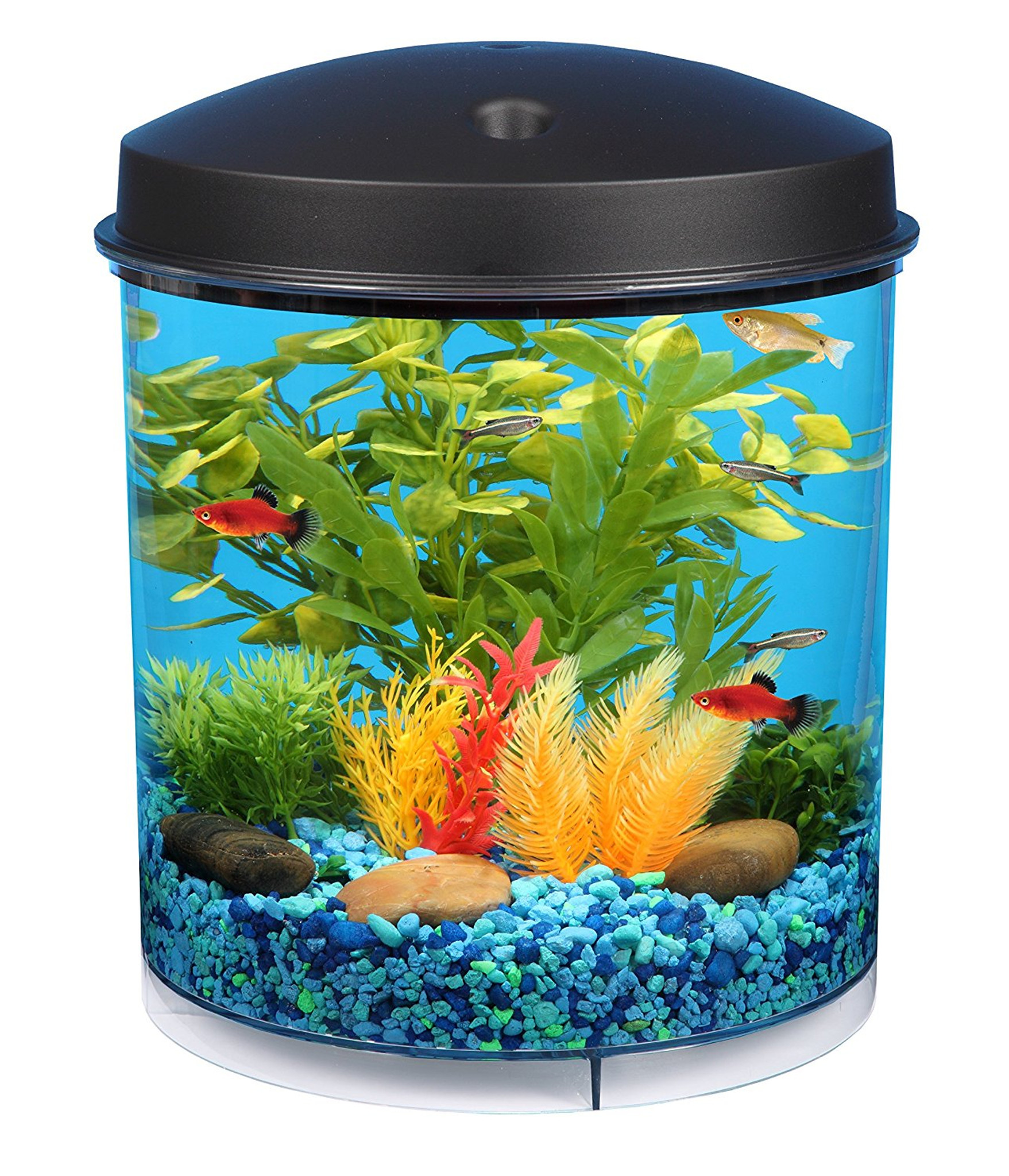 Mag-Float Floating Glass Aquarium Cleaner - Small