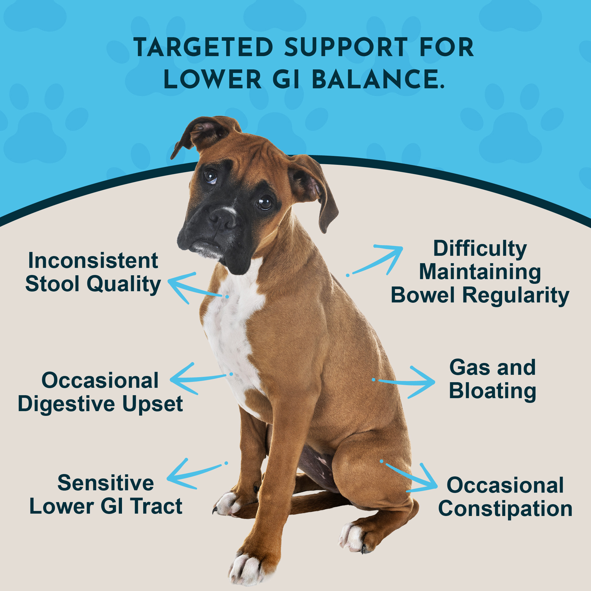View of Animal Essentials Colon Rescue Herbal Formula For Dogs And Cats 2-Ounce ...
