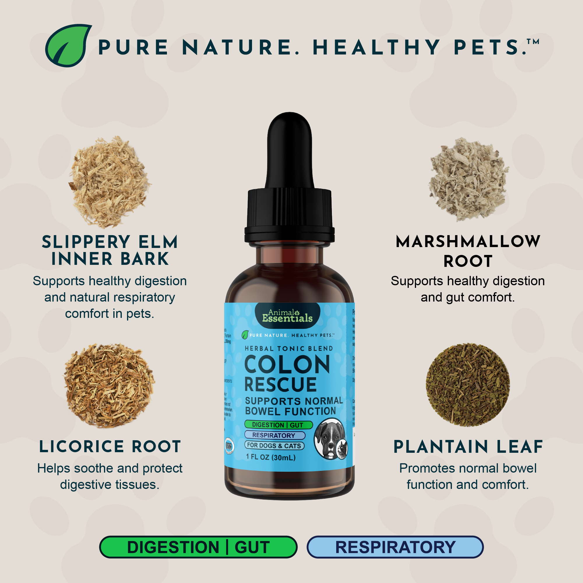 Illustration of Herbal Bowel Support For Dogs