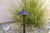 Black Diamond Path Light in Black G4 ECO 3W 3000K