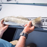 Adhesive 48" SeaDek Fish Measuring Ruler Adhesive 48" SeaDek Fish Measuring Ruler