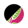 Fuchsia Plumeria