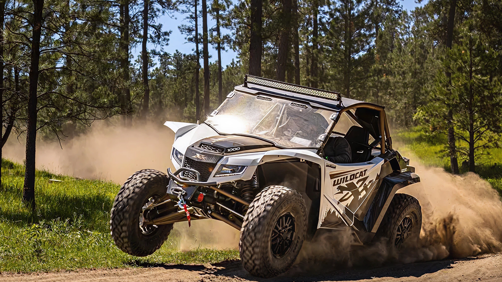 Arctic Cat Wildcat XX