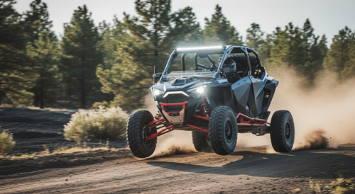 Polaris RZR