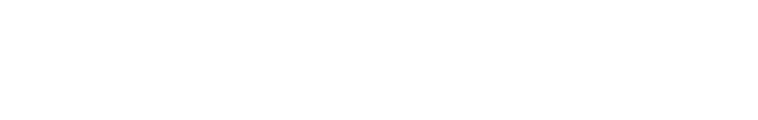 SCWAKE Logo