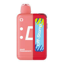 Grape pomegranate 25,000 disposable kit