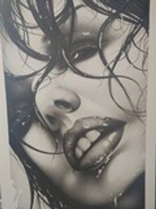 Fresh - Graphite - Large Fresh - Graphite - Large