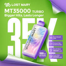 Lost Mary