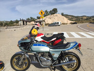 1981 Ducati 900 Desmo "Super Sport" SSD, Post #2