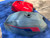 Ducati 500 Pantah OEM Fuel Tank
