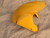 Ducati 996/748 & Derivatives Superbike Front Fender/Mud Guard