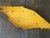 Ducati 800 ss RH Upper Panel