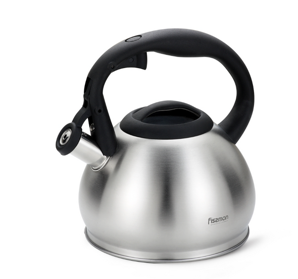 Чайник для плиты 1,2 л из нержавеющей стали Anika