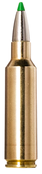 Norma Ammunition 20177512  Ecostrike 300WSM 165gr 20 Per Box/10 Case                                                                                                                                    