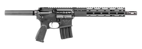 Wilson Combat  Protector  300 HAM'R 20+1 11.30", Black, Buffer Tube (No Brace), M-LOK Handgaurd, BCM Starburst Gunfighter Grip, TTU Two-Stage Trigger                                                   