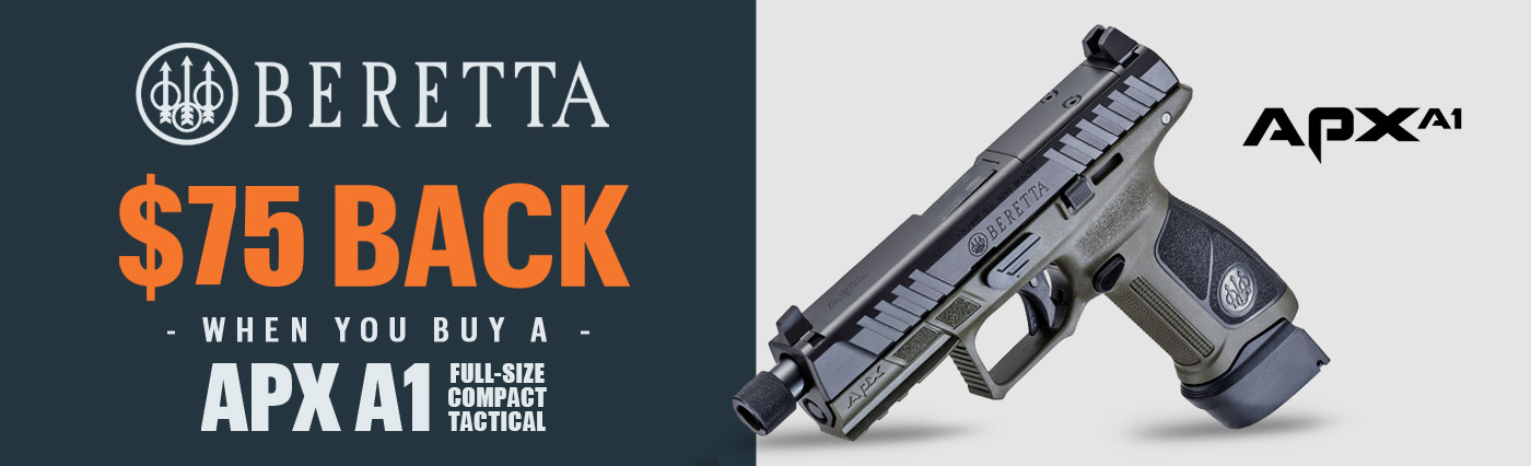 Beretta APX