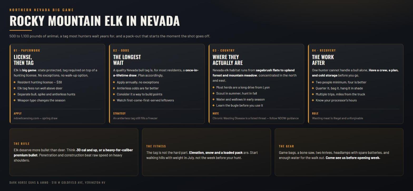 Infographic: Rocky Mountain elk hunting in Nevada - license and tag, draw odds, where the herds are, and recovering the animal
